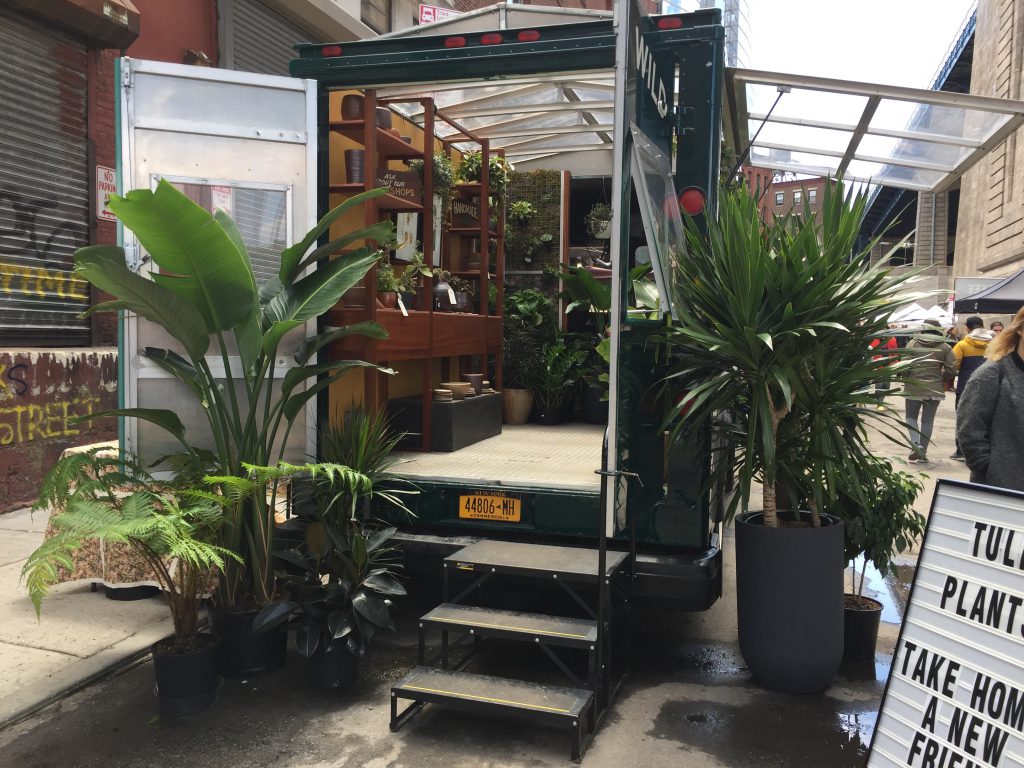 観葉植物販売　ニューヨーク