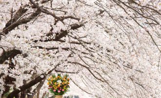 春　お花贈りは花助
